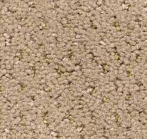 Ковролин Radici Mosaico Biscotto 2406 фото 1 | FLOORDEALER